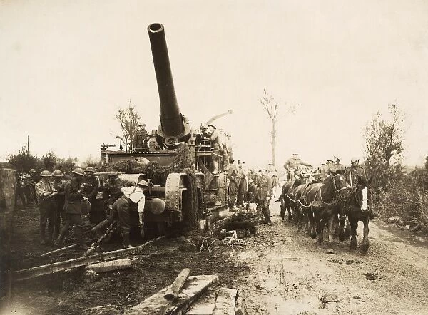 Big gun and horses near Ypres, Western Front, WW1