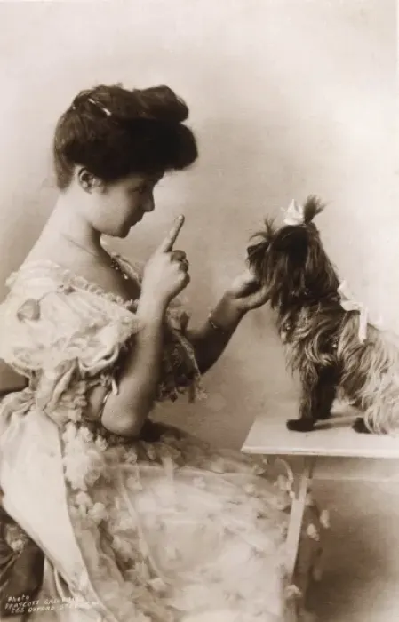 Framed Print : Billie Burke / Dog Framed Print : Billie Burke / Dog