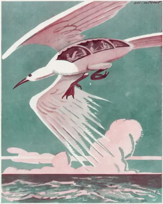 Framed Print : Is it a Bird ? Framed Print : Is it a Bird ?