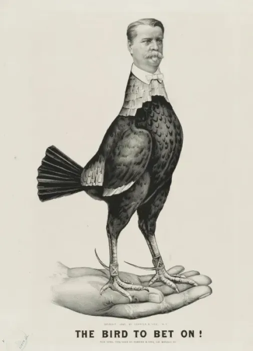 Framed Print : The bird to bet on Framed Print : The bird to bet on