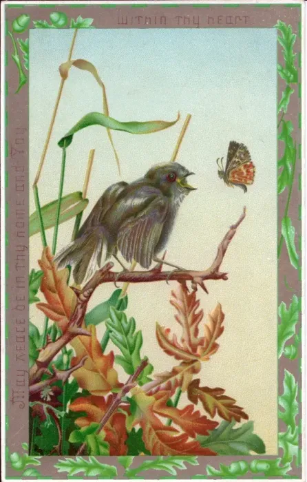 Framed Print : Bird and butterfly on a greetings card Framed Print : Bird and butterfly on a greetings card