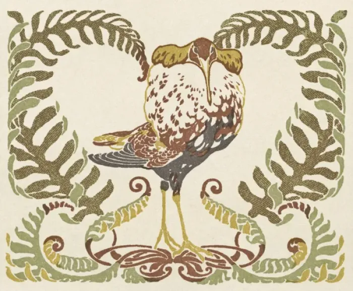 Framed Print : Bird in a clump of ferns Framed Print : Bird in a clump of ferns