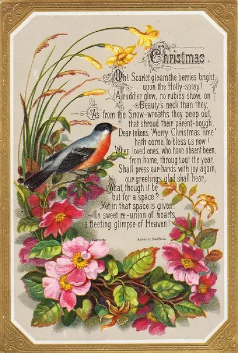 Framed Print : Bird and flowers on a Christmas card Framed Print : Bird and flowers on a Christmas card