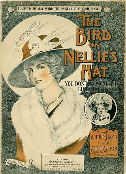 Bird on Nellies Hat
