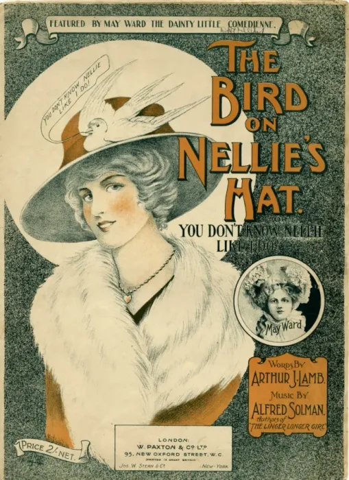 Framed Print : Bird on Nellies Hat Framed Print : Bird on Nellies Hat