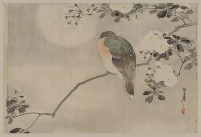 Framed Print : Bird perched on a branch of a blossoming tree Framed Print : Bird perched on a branch of a blossoming tree