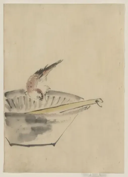 Framed Print : A bird perched on the edge of a bowl, with head cocked, look Framed Print : A bird perched on the edge of a bowl, with head cocked, look