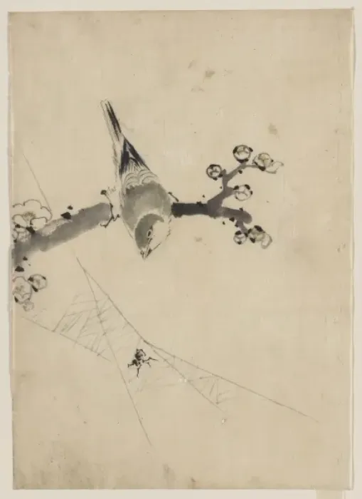 Framed Print : A bird perched on a tree branch with blossoms, watching a sp Framed Print : A bird perched on a tree branch with blossoms, watching a sp