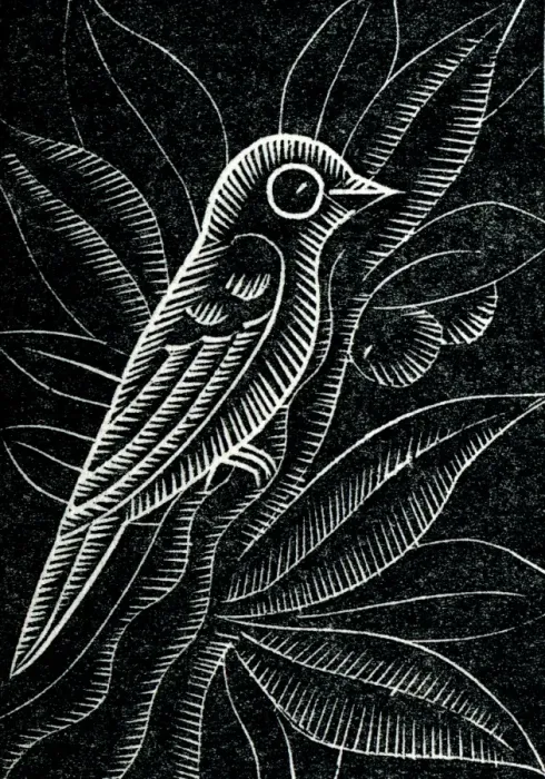 Framed Print : A bird perches on a branch Framed Print : A bird perches on a branch