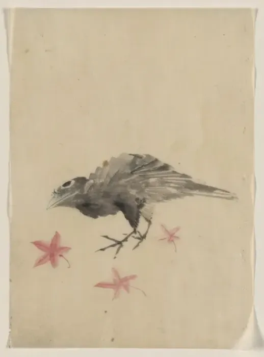 Framed Print : A bird, possibly crow or raven, facing left, standing among Framed Print : A bird, possibly crow or raven, facing left, standing among