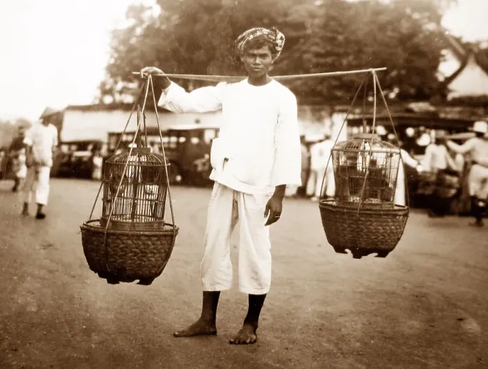 Framed Print : Bird seller, Java Framed Print : Bird seller, Java