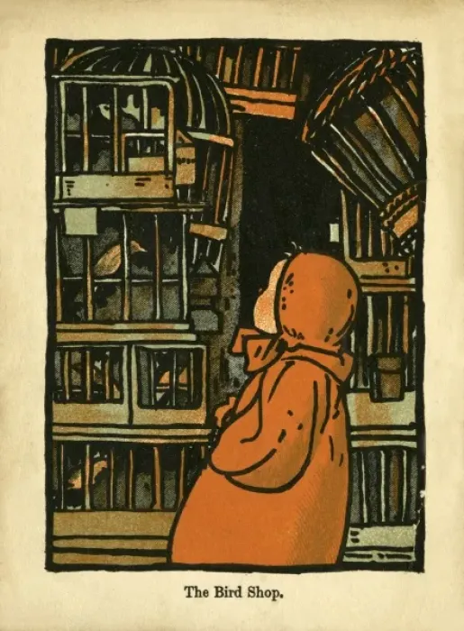 Framed Print : The Bird Shop Framed Print : The Bird Shop