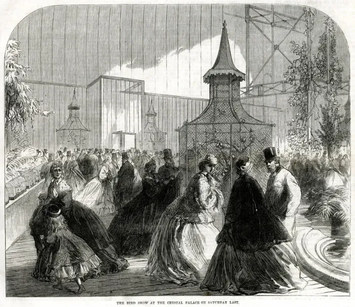 Framed Print : Bird show, Crystal Palace 1865 Framed Print : Bird show, Crystal Palace 1865