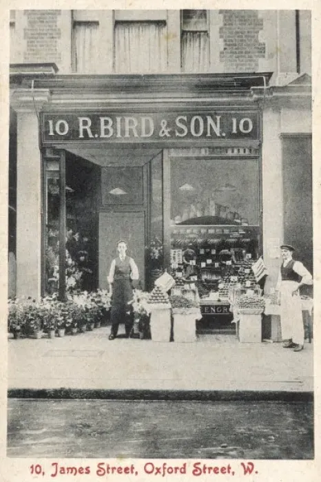 Framed Print : Bird & Son Shop / Photo Framed Print : Bird & Son Shop / Photo