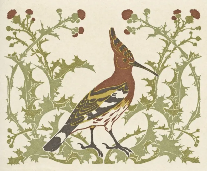 Framed Print : Bird in thistles Framed Print : Bird in thistles