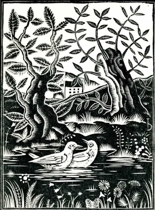 Framed Print : Birds in beautiful surroundings Framed Print : Birds in beautiful surroundings