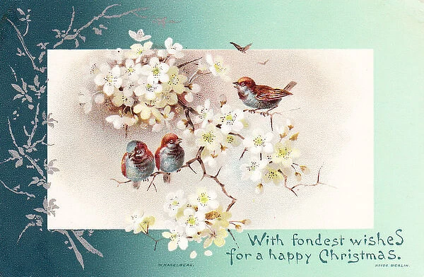 Three birds on a branch on a Christmas card