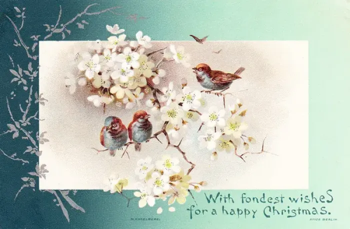 Framed Print : Three birds on a branch on a Christmas card Framed Print : Three birds on a branch on a Christmas card