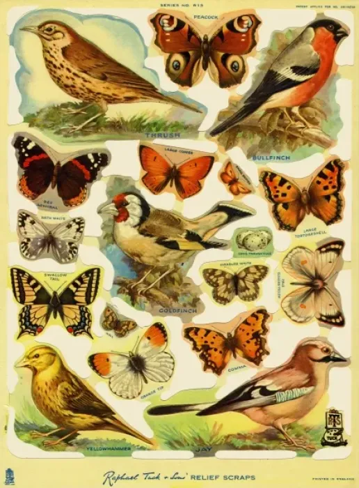 Framed Print : Birds & butterflies scraps Framed Print : Birds & butterflies scraps
