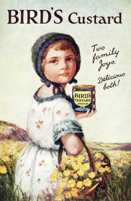 Framed Print : Bird's Custard Framed Print : Bird's Custard