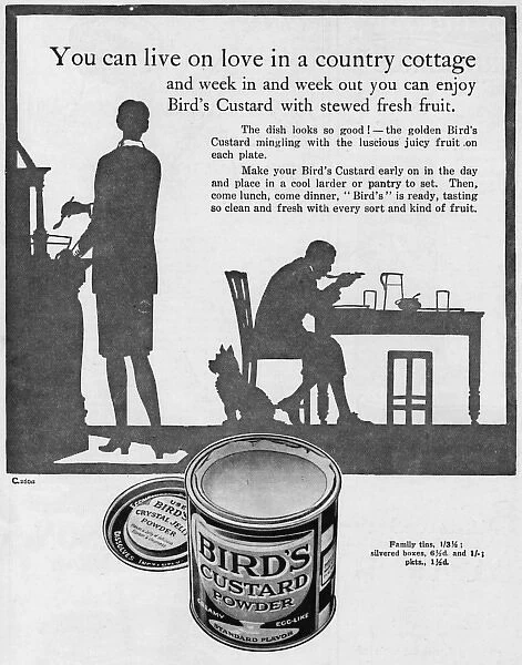 Birds Custard advertisement 1927
