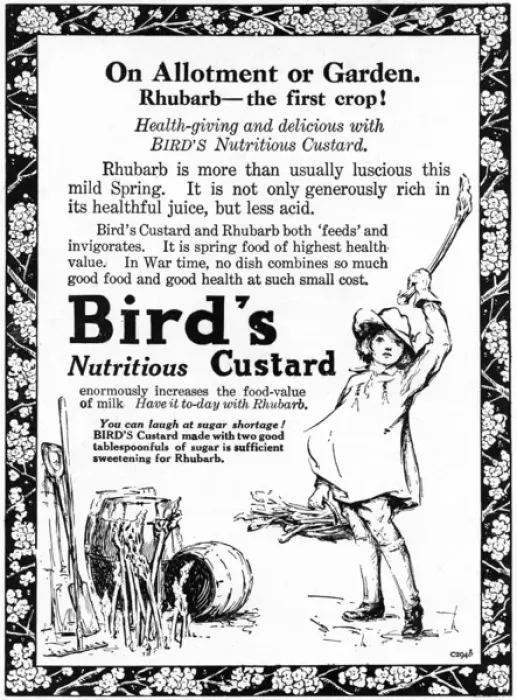 Framed Print : Birds Custard advertisement, WW1 Framed Print : Birds Custard advertisement, WW1