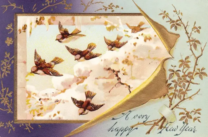 Framed Print : Birds in flight on a New Year card Framed Print : Birds in flight on a New Year card