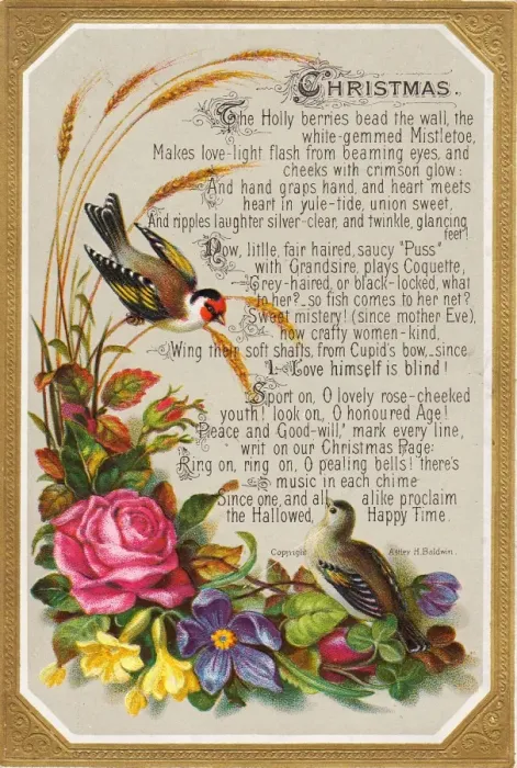 Framed Print : Birds and flowers on a Christmas card Framed Print : Birds and flowers on a Christmas card