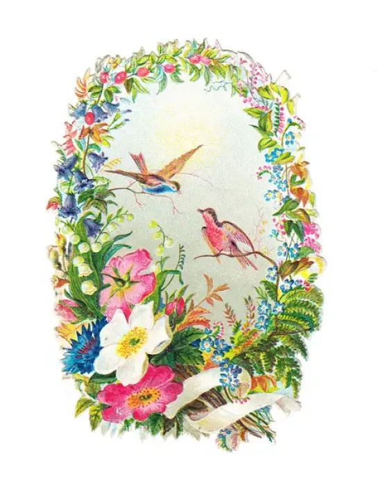 Framed Print : Birds and flowers on a Victorian scrap Framed Print : Birds and flowers on a Victorian scrap
