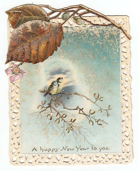 Birds and mistletoe on a New Year card