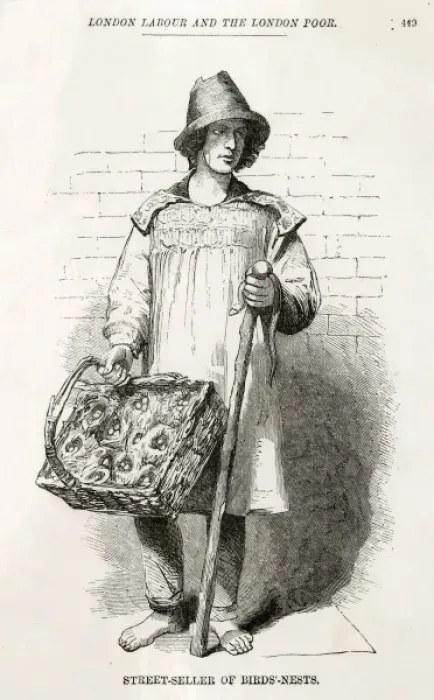 Framed Print : Birds-Nests Seller Framed Print : Birds-Nests Seller