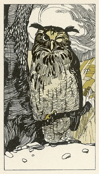 Birds - Owl - Grimms Fairy Tales