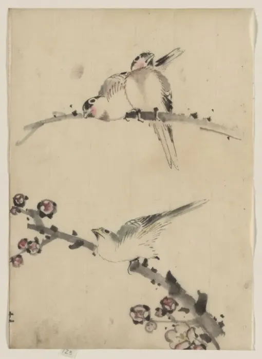 Framed Print : Three birds perched on branches, one with blossoms Framed Print : Three birds perched on branches, one with blossoms