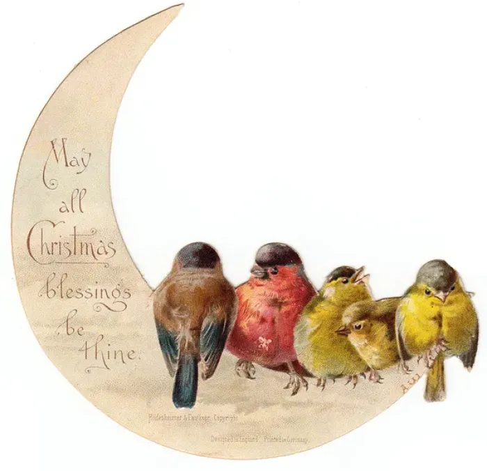 Framed Print : Birds perched on crescent moon on a Christmas card Framed Print : Birds perched on crescent moon on a Christmas card