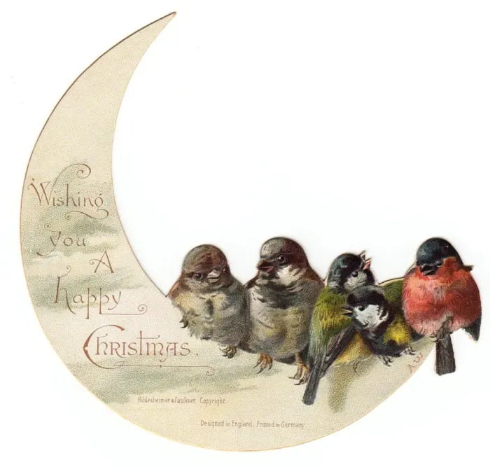 Framed Print : Birds perched on crescent moon on a Christmas card Framed Print : Birds perched on crescent moon on a Christmas card