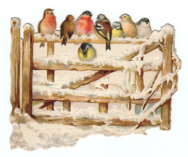Birds perched on a gate on a cutout Christmas card