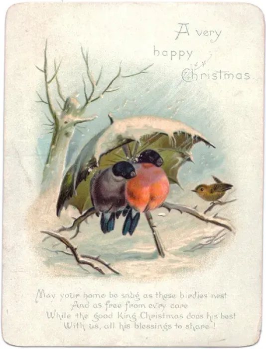 Framed Print : Birds sheltering under umbrella on a Christmas card