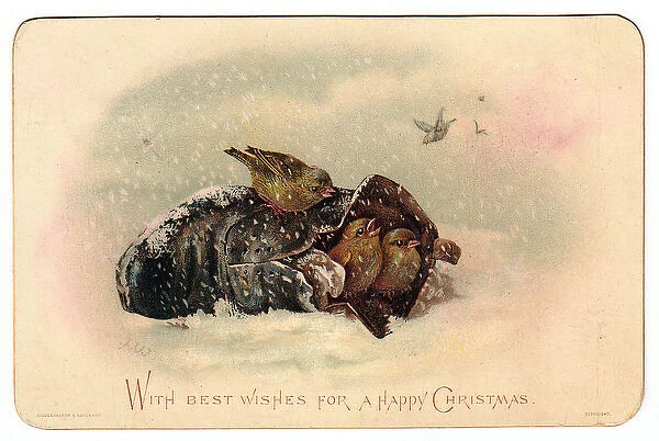 Birds in a shoe on a Christmas card