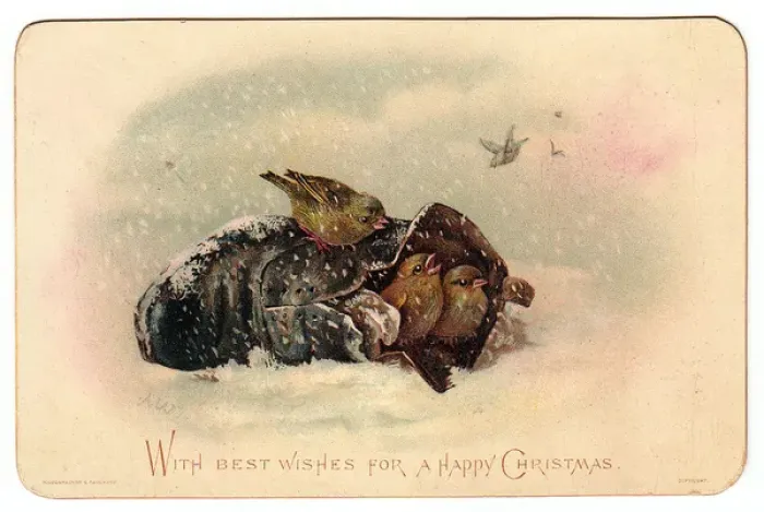 Framed Print : Birds in a shoe on a Christmas card Framed Print : Birds in a shoe on a Christmas card