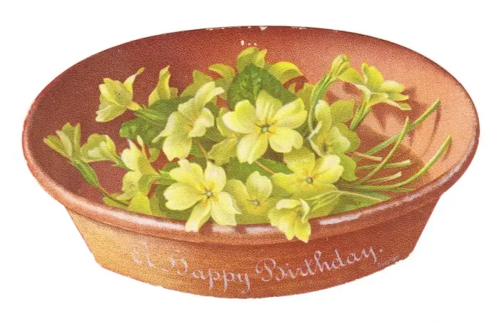 Framed Print : Birthday card in the shape of a dish of primroses Framed Print : Birthday card in the shape of a dish of primroses