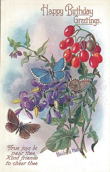 Birthday postcard design with butterflies