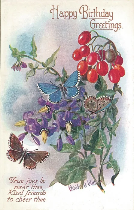 Framed Print : Birthday postcard design with butterflies Framed Print : Birthday postcard design with butterflies