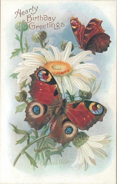 Framed Print : Birthday postcard design with butterflies and flowers Framed Print : Birthday postcard design with butterflies and flowers