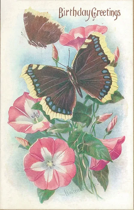 Framed Print : Birthday postcard design with butterflies and flowers Framed Print : Birthday postcard design with butterflies and flowers