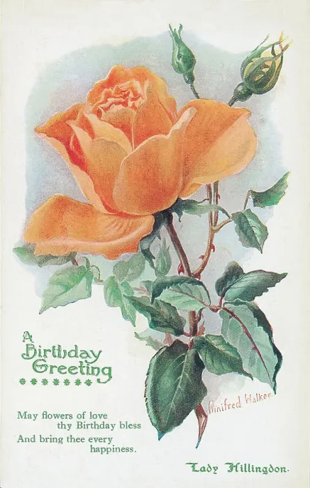 Framed Print : Birthday postcard design with rose Framed Print : Birthday postcard design with rose