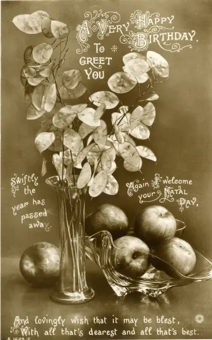 Framed Print : Birthday postcard, Honesty pods and apples Framed Print : Birthday postcard, Honesty pods and apples