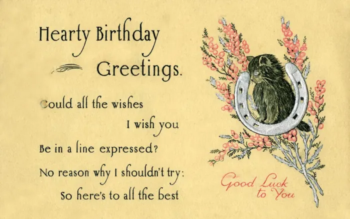 Framed Print : Birthday postcard with pink flowers and black cat Framed Print : Birthday postcard with pink flowers and black cat