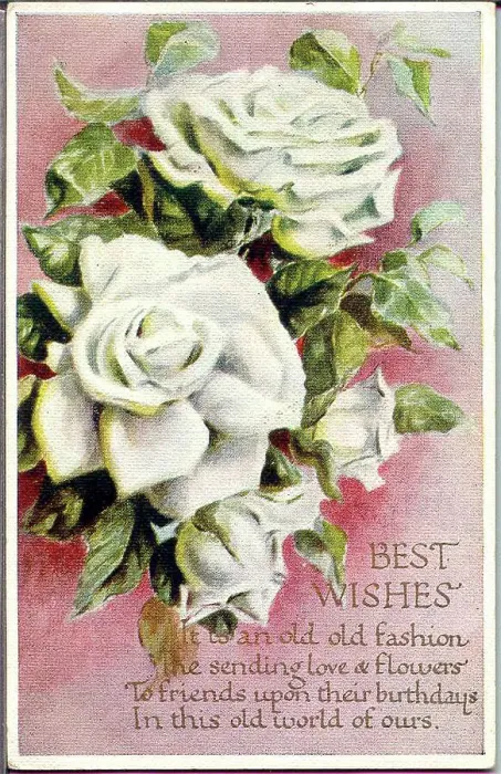 Framed Print : Birthday postcard, White roses, Best Wishes Date: early 20th century Framed Print : Birthday postcard, White roses, Best Wishes Date: early 20th century