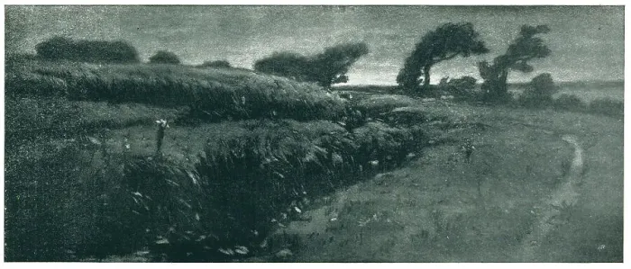 Framed Print : A Bit Of Windswept Country Near The Sea Framed Print : A Bit Of Windswept Country Near The Sea