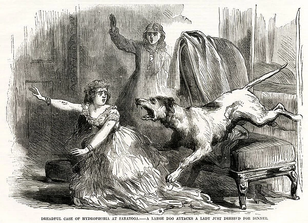 Bitten by rabid dog 1870